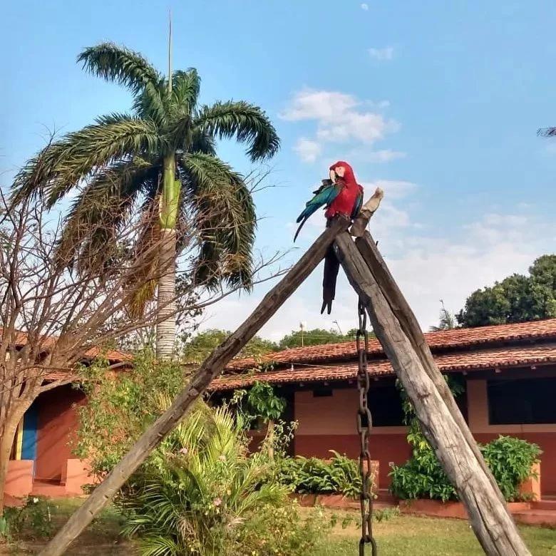 Pousada Estacao Lunar - Terra Ronca Sao Domingos de Goias Exterior foto